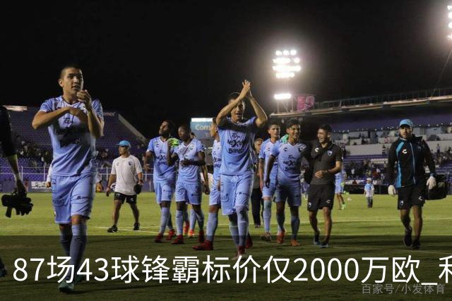 87场43球锋霸标价仅2000万欧 利兹联正加速今夏首签